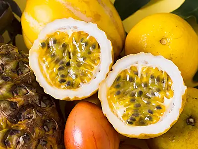 Sem abelhas mamangavas, aprenda polinização manual do maracujá com pincel ou dedos.