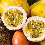 Sem Abelhas? Veja como polinização manual no Maracujá pode salvar sua colheita!