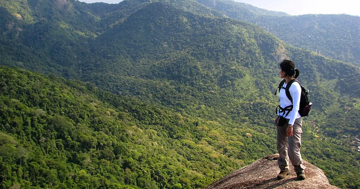 Maior floresta urbana do mundo fica no Brasil e guarda tesouros naturais pouco conhecidos