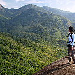 Maior floresta urbana do mundo fica no Brasil e guarda tesouros naturais pouco conhecidos