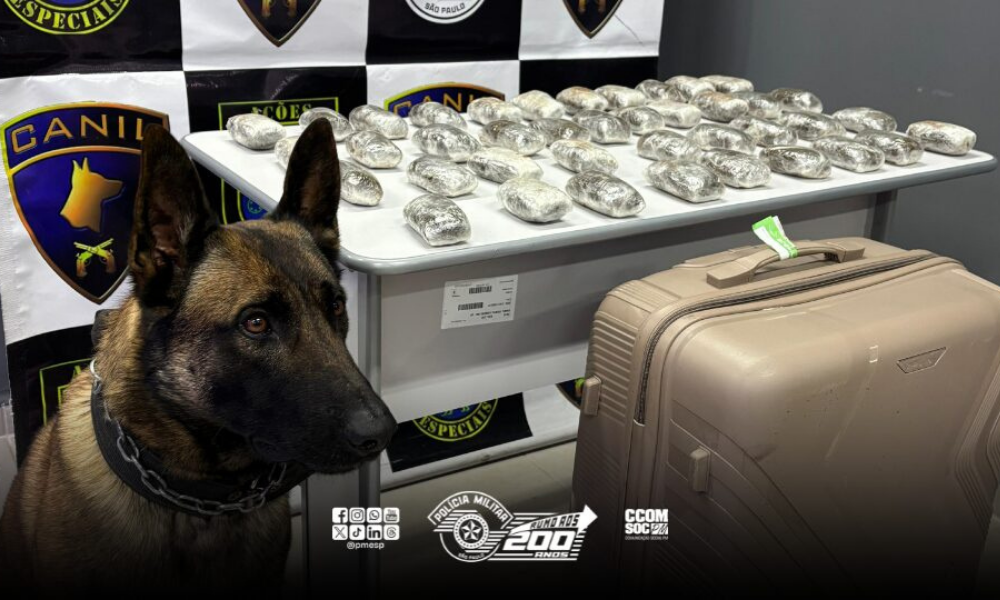 Homem é preso com mala de drogas na Castello Branco em Santana de Parnaíba