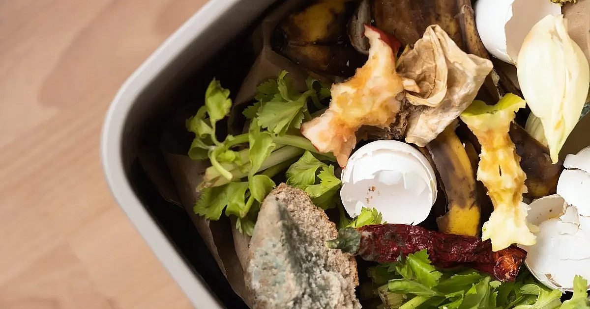 No calor, lixeiras podem virar criadouros de larvas e moscas; veja como pequenas mudanças resolvem