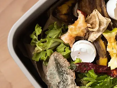 Lixeiras podem virar criadouros de larvas e moscas.