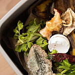 No calor, lixeiras podem virar criadouros de larvas e moscas; veja como pequenas mudanças resolvem