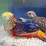 Após 19 anos de espera, Mongaguá ganha zoológico oficial e promete transformar turismo na Baixada Santista