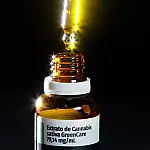 Anvisa aprova cultivo de cannabis por empresas e amplia acesso medicinal