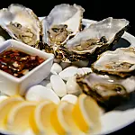 Praga vira luxo: ostra invasora ganha nova vida como molho premium