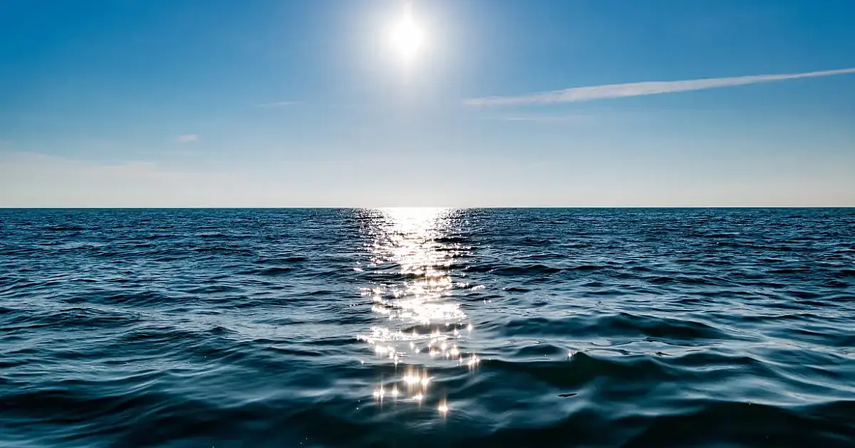 Tratado do Alto-Mar entra em vigor e promete revolucionar a conservação dos oceanos para o Brasil e o mundo com novas regras globais