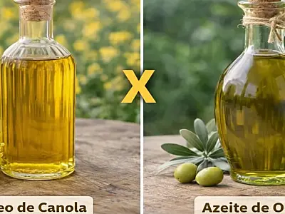 Entenda as diferenças entre azeite de oliva e óleo de canola na cozinha.