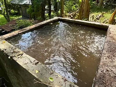 Fonte esquecida nas montanhas volta a jorrar água cristalina, após limpeza do tanque.