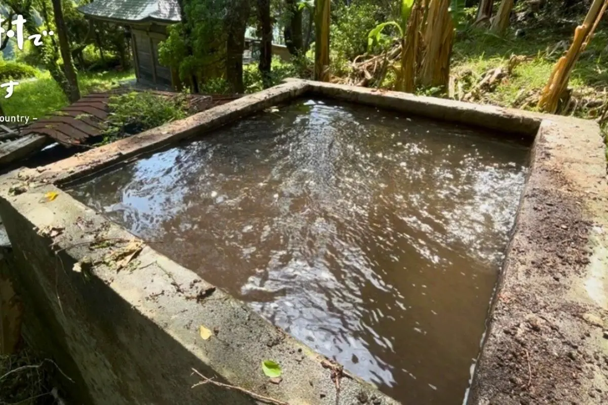 Fonte nas montanhas volta a jorrar água cristalina após décadas de abandono