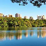 Maringá: a cidade onde qualidade de vida une ruas largas e arborizadas