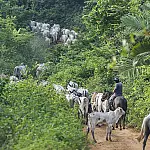 IBC-Br aponta crescimento de 2,5% na atividade econômica brasileira em 2025