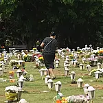 Governador sanciona lei que permite sepultamento de cães e gatos em jazigos familiares em São Paulo