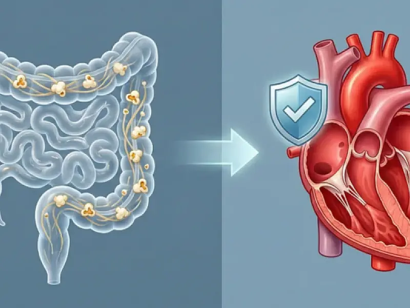 Benefícios da pipoca para intestino e saúde cardiovascular são confirmados por estudos