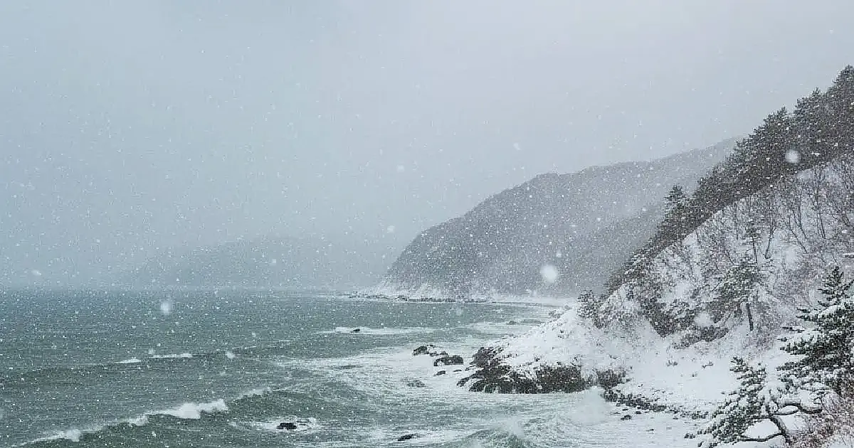 Neve intensa ao longo do Mar do Japão mantém alerta máximo para transporte, energia e risco de avalanches